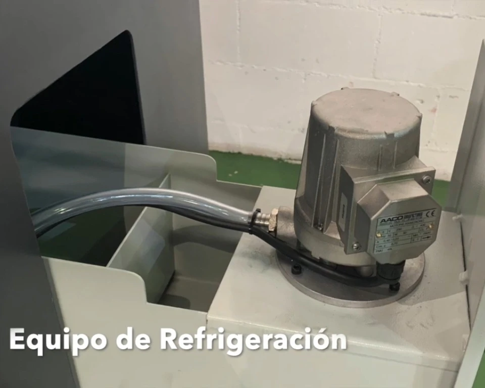 Imagen 5